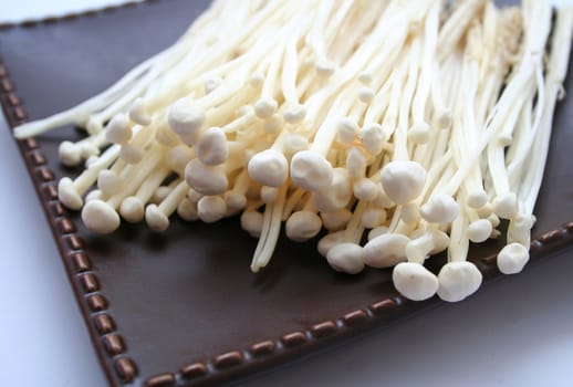 japanese mushrooms