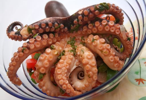 an octopus