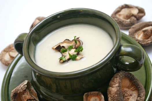 fresh soup of mushrooms