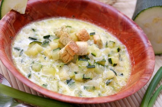 fresh stew of zucchini