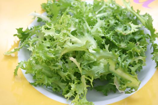 fresh frisee
