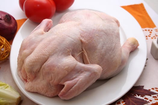fresh chicken