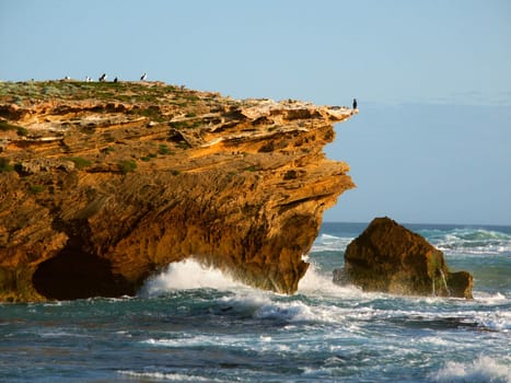 The rocky coastline of southern Australia near Warrnambool, Victoria.