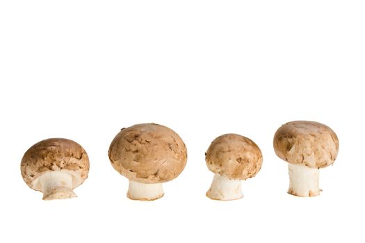 group of mushrooms isolated on white background