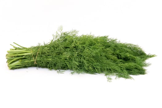 bouquet of fresh dill isolated on white background