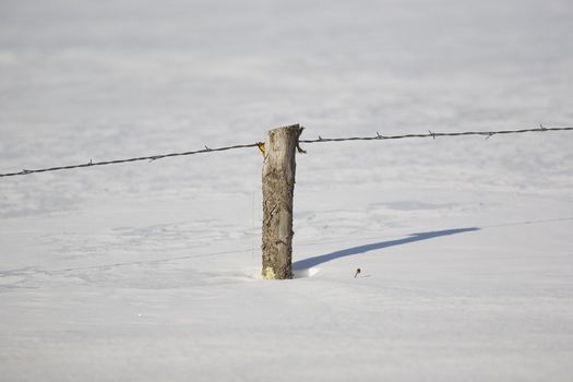 Rustic barbed ( also known as barb, bob, and bobbed) wire fence with a rough hewn fence post buried in snow in Northern Minnesota