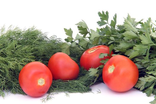 four tomatos between dill  and parsley isolated on white background food and vegetables