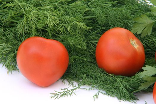 two tomatos with dill and parsley background food and vegetables