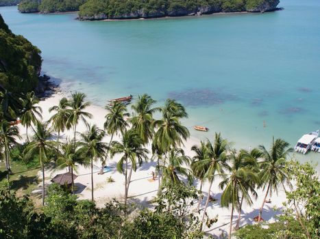 tropical beach and nature at samui island thailand asia                               