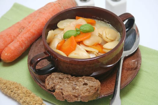 a fresh stew of beans and carrots