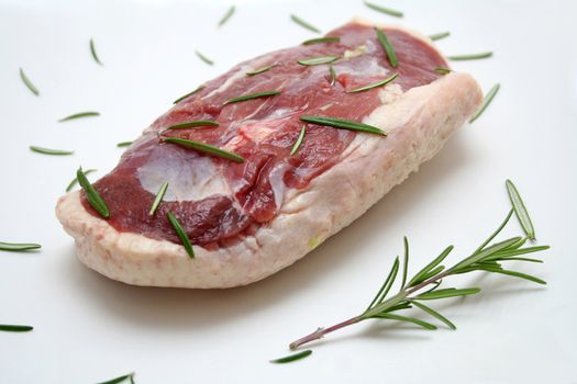 fresh meat of a duck