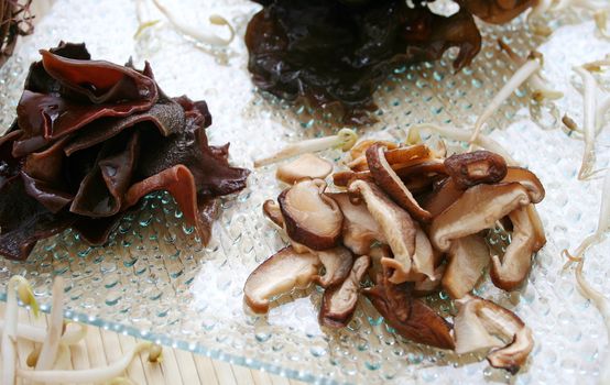 asian mushrooms