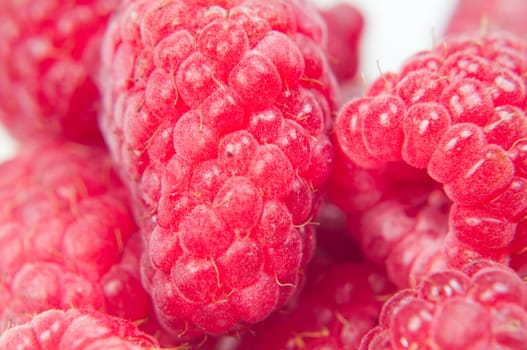 Shot of ripe macro red raspberry, close-up