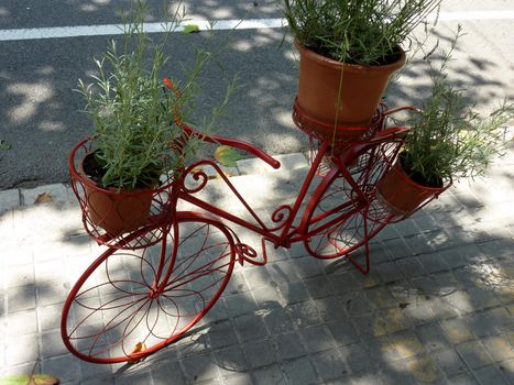 Red metallic bicycle in the street and carrying three plants