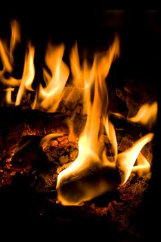 Detail of fireplace with wood and coal burning.