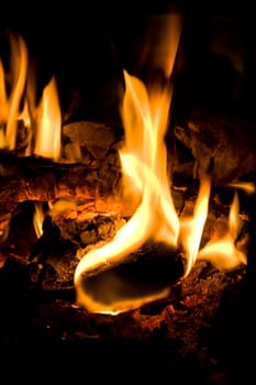 Detail of fireplace with wood and coal burning.