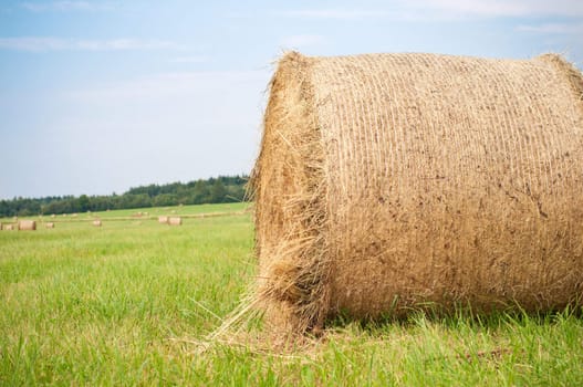 Shot of hay on the field, landscape