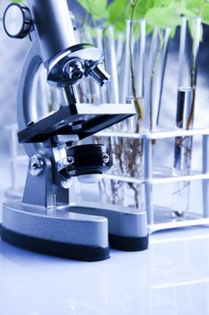 Research and experiments  in Laboratory
