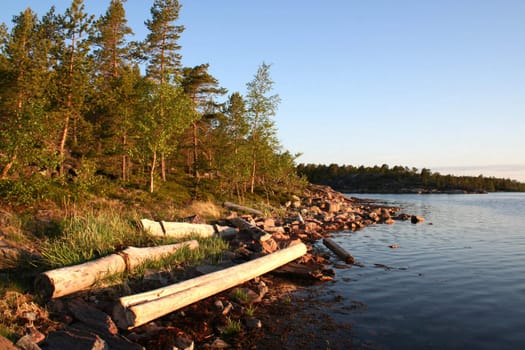 summer sunrise with forest, water and rocks
