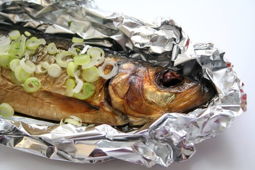 a fish