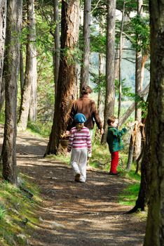 from behind, family walking along forest path