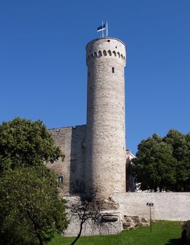 Medieval wall and tower long Herman of old Tallinn