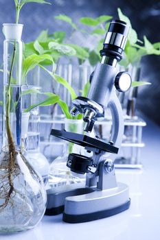 Plants  and laboratory 