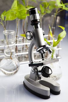 Plants  and laboratory 