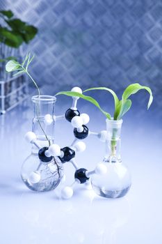 Plants  and laboratory 