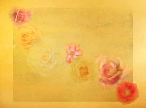 Old fashioned roses on grunge colorful background
