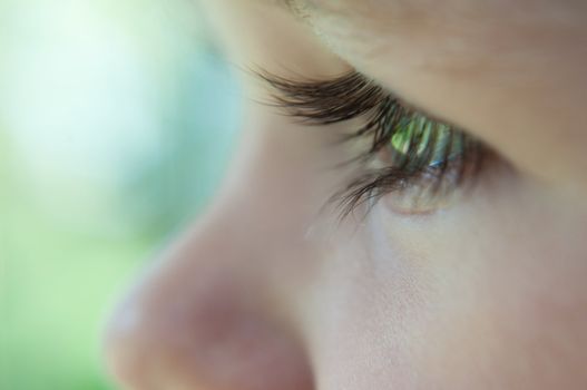 Shot of cute baby macro eyelash, profile