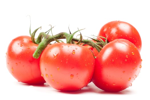 Shot of group tomatoes isolated on white