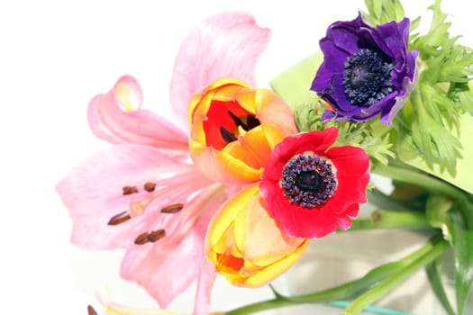 flowers bouquet purple red  orange and pink isolated on white background  with copyspace