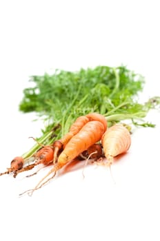Shot of young carrot isolated on white