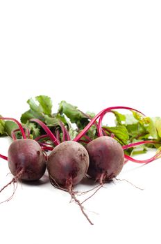 Shot of young beet isolated on white