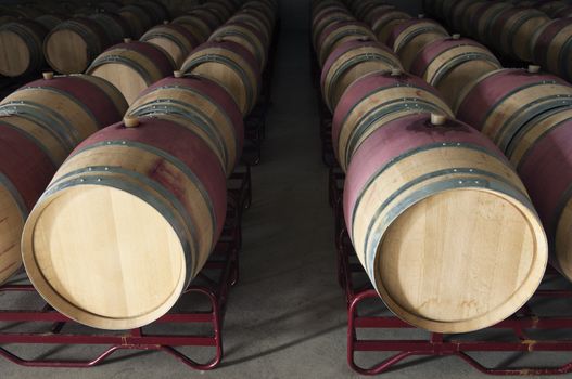 Oak wine barrels in a modern winery, Alentejo, Portugal