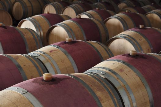 Oak wine barrels in a modern winery, Alentejo, Portugal