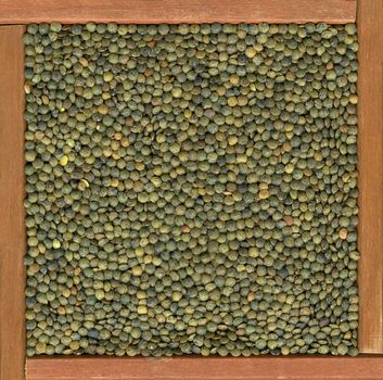 French green lentils background in a primitive, wooden frame or box