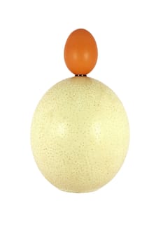 Chicken and ostrich eggs isolated on white