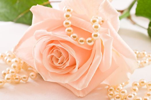 Soft pink rose with green leaves and pearls