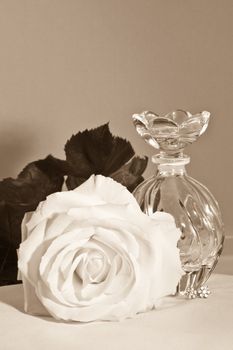 Rose, ear-drops and small bottle-sepia color