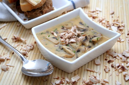 fresh soup of mushrooms