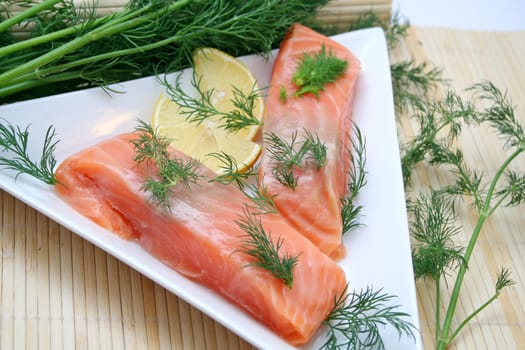 fresh salmon
