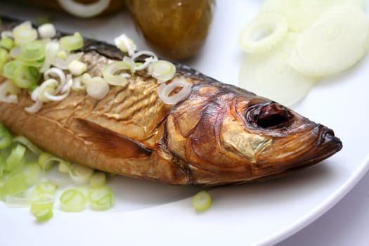 fresh fish