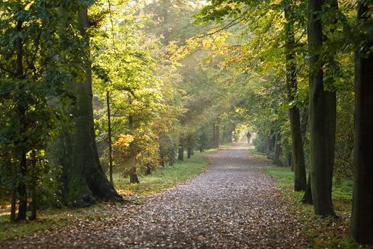 Walking in the park on a sunny Octoberday