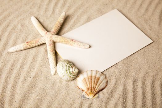 Holiday beach concept