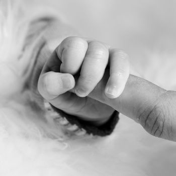 young baby holding finger of daddy