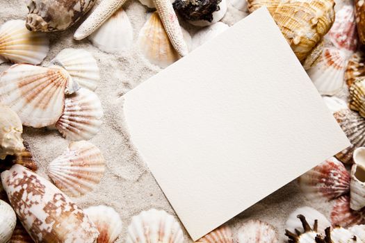 Holiday beach concept