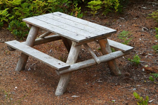 Small children's wood picnic table with green foliage in background