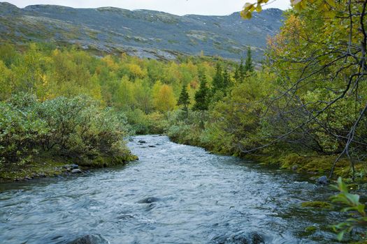 Beautiful northern mountain river and autumn forest
